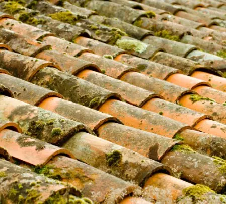 demoussage de toiture  angoulême wendy renovation